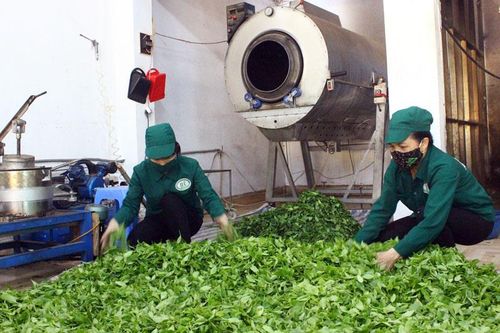 Giáo dục nghề nghiệp gắn với nhu cầu thị trường lao động
