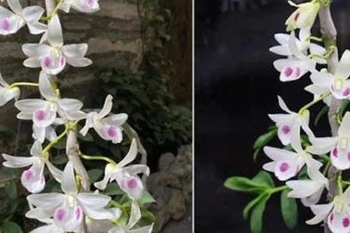 Ngân hàng yêu cầu kiểm soát vốn vay có yếu tố lan đột biến