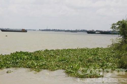 Bất ngờ ở khu vực mỏ cát có giá trúng thầu gần 3.000 tỷ đồng