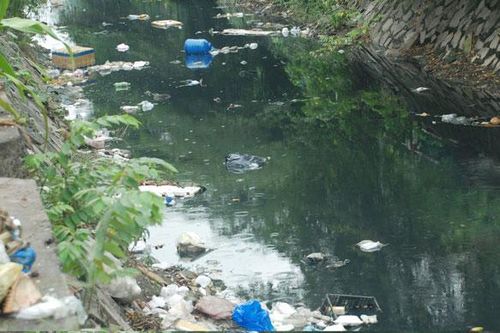 Đổ rác bừa bãi bất chấp biển cấm