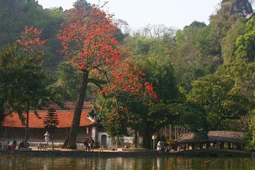Không tổ chức lễ hội chùa Thầy năm 2021