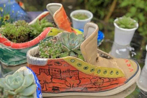 Nhóm sinh viên Hà Nội 'hoàn sinh' giày lỗi thành chậu cây để gây quỹ từ thiện