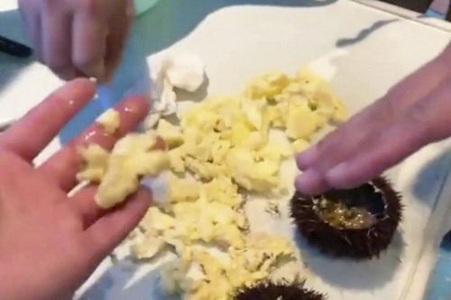 Du khách tung video tố nhà hàng Trung Quốc phục vụ món nhím biển giả