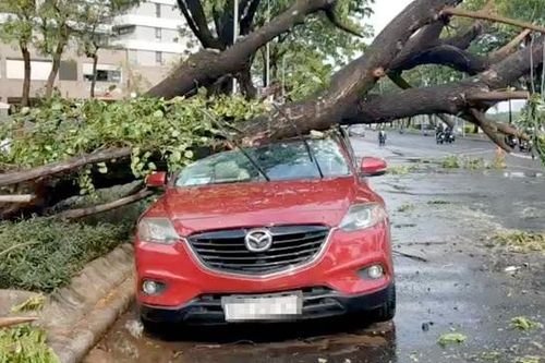 Mưa tránh trắng, nắng tránh đen, có đủ?