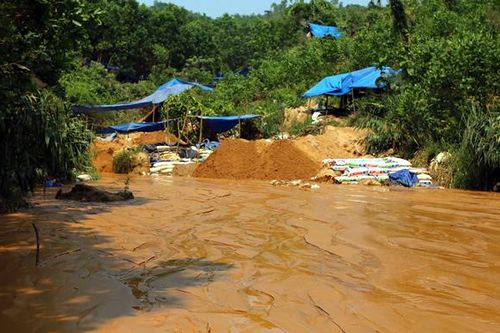 Kiến nghị xem xét lại việc đóng cửa mỏ vàng Bồng Miêu