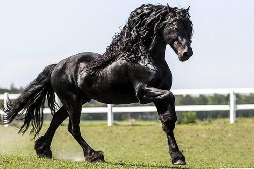 10 ngày tới, 3 con giáp 'vạ miệng' gây oán với tiểu nhân, dễ bị tranh công