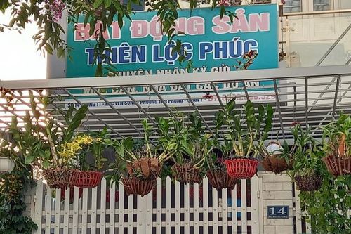 T-S.Home - công ty giặt là, có 2 nhân sự lại trúng thầu khai thác mỏ cát 2.811 tỷ đồng