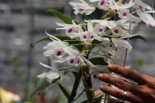 Ngân hàng siết tín dụng liên quan giao dịch lan đột biến