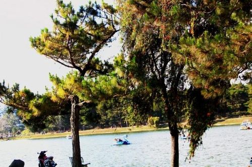 Đà Lạt những ngày mặc áo ấm