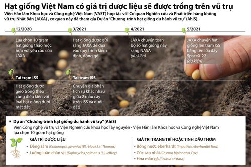 Hạt giống dược liệu của Việt Nam được trồng trên vũ trụ