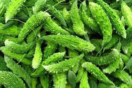 Tuyệt chiêu đơn giản làm giảm độ đắng của khổ qua để ai cũng ăn được