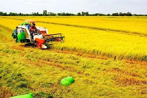 Ứng dụng công nghệ 4.0 vào sản xuất nông nghiệp bền vững