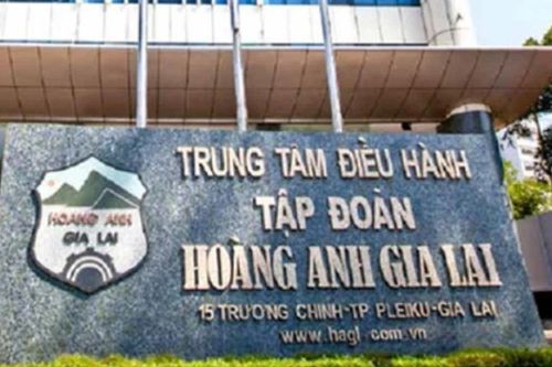 Kiểm toán nghi ngờ khả năng hoạt động liên tục của Hoàng Anh Gia Lai