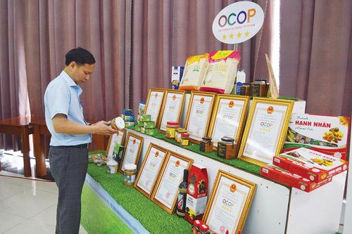 An Giang: 'Tiếp sức' để các sản phẩm OCOP phát triển