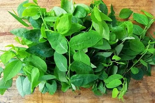 Những người tuyệt đối không nên ăn rau ngót