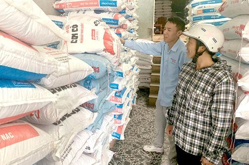 Giá thức ăn lên cao, người chăn nuôi gặp khó