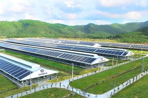 Vinamilk đặt mục tiêu lợi nhuận 11.240 tỷ đồng, trả cổ tức tiền mặt tỷ lệ 41%