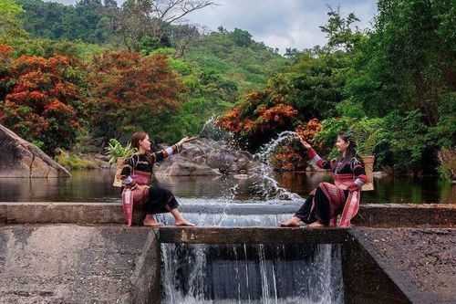 Hoa trang rừng nở rộ sau nhiều năm, suối Tà Má trở thành điểm 'check-in' mới của giới trẻ