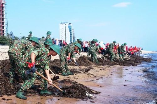 Quân đội với nhiệm vụ bảo vệ môi trường