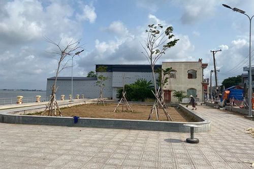 Về việc xây nhà nuôi chim yến trong khu sạt lở sông Vàm Nao