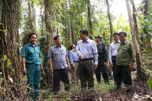 Mưa trái mùa kèm sét đánh tăng nguy cơ cháy rừng ở Cà Mau