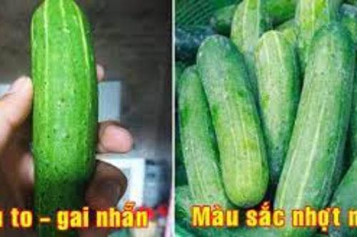 Mua dưa chuột cứ nhìn vào 1 điểm này, đảm bảo chọn đúng quả tươi ngon, vừa ngọt vừa giòn