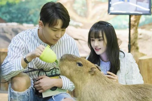 Trương Hằng phủ nhận đem con ra 'đánh bóng' bản thân, ám chỉ Trịnh Sảng giở trò hãm hại mình