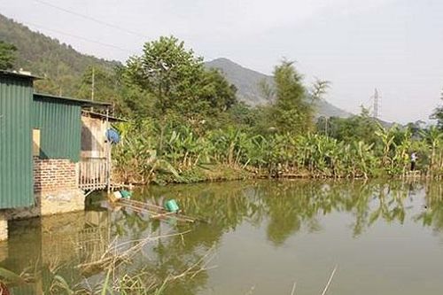 Tắm ao giữa trưa, 3 học sinh đuối nước thương tâm