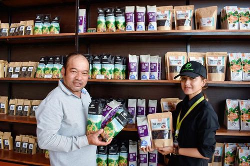 Chè cổ, cà phê chè lên sao