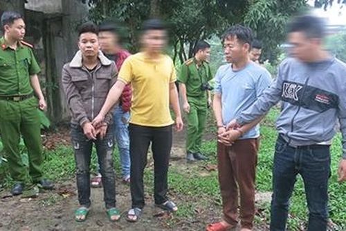 Rủ nhau bắt trộm 5 con trâu