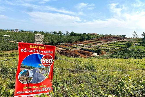 Bộ TN&MT thanh tra thực trạng xẻ đồi, phân lô bán nền tràn lan tại Lâm Đồng