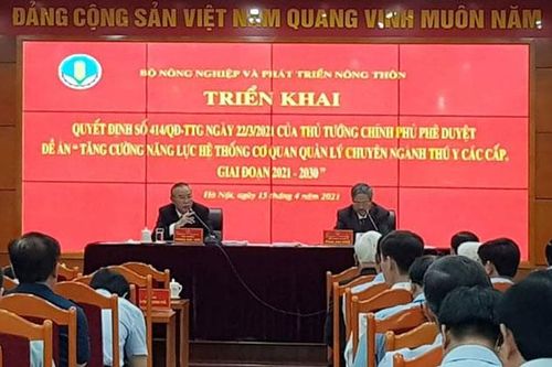 Cả nước đã xây dựng được 1.600 chuỗi, vùng chăn nuôi an toàn dịch bệnh
