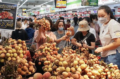 Nhiều hoạt động liên kết vùng, kết nối cung - cầu giữa Hà Nội và các tỉnh, thành phố năm 2021