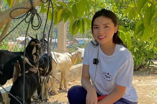 Kỳ Duyên mua 57 cặp dê giống tặng người dân nghèo
