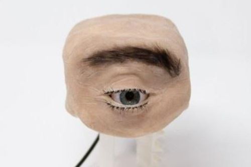 Công dụng của mẫu webcam rùng rợn hình mắt người