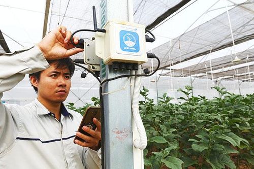 Hành trình số hóa nền kinh tế