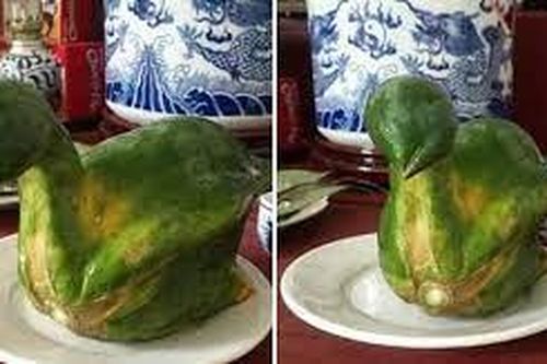Quả đu đủ 'hiếm thấy nhất Việt Nam'