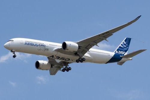 'Siêu máy bay' A350 nghi bị chim làm rách vỏ khi hạ cánh xuống sân bay Tân Sơn Nhất