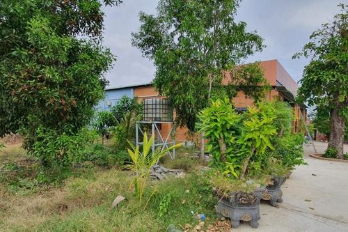 Sẽ thanh tra việc phân lô bán nền ở Bình Thuận, Lâm Đồng và Khánh Hòa