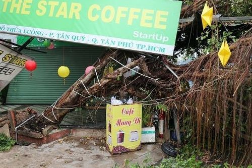 Đường ngập, cây đổ do mưa lớn ở TP HCM