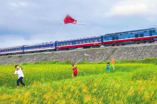 Đường sắt cao tốc Bắc – Nam: Xây mới hay nâng cấp?