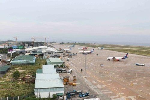 Cục Hàng không yêu cầu chấn chỉnh tình trạng động vật xâm nhập sân bay