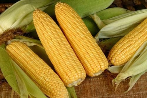 Thực phẩm giúp lọc sạch phổi cho người hút thuốc lá