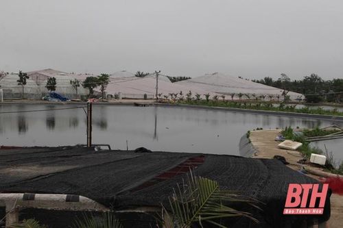 Huyện Nga Sơn tập trung phát triển kinh tế, nâng cao đời sống người dân