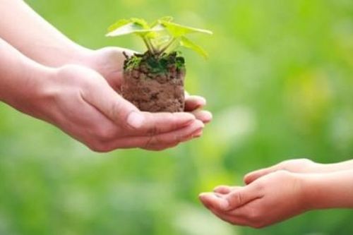 9 triết lý sống giúp bạn nâng cao khả năng kiếm tiền