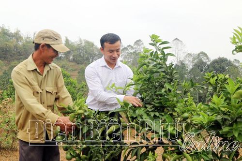 Cựu chiến binh giúp nhau thoát nghèo
