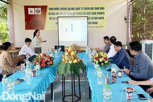 Chế biến thực phẩm giá trị cao từ phế phẩm trái ca cao