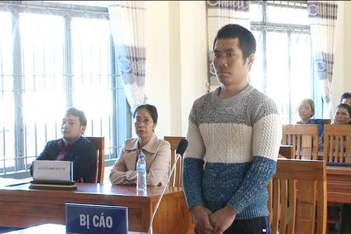 Hủy hoại rừng, bị phạt 20 tháng tù