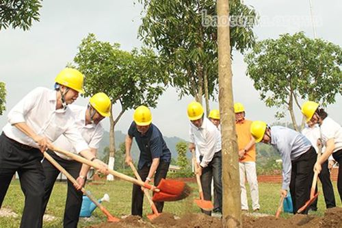 Công ty Điện lực Sơn La sẽ trồng mới 600 cây xanh trong năm 2021