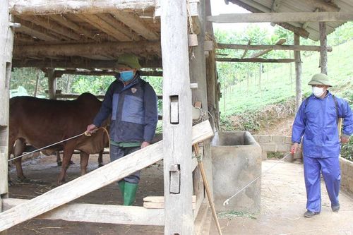 Tháng tổng vệ sinh, khử trùng, tiêu độc môi trường: Cần chủ động, quyết liệt